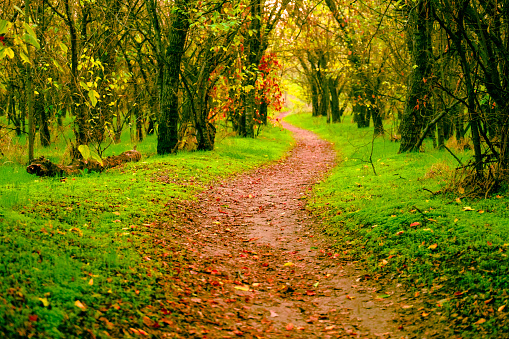 backroads